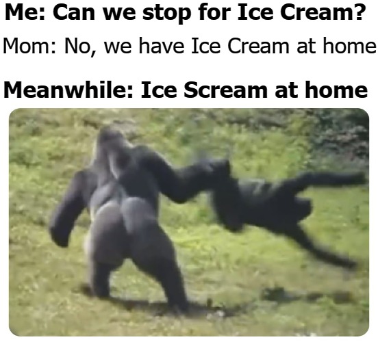 Me: Can we stop for Ice Cream? Mom: No, we have Ice Cream at home; Meanwhile: Ice Scream at home | image tagged in party | made w/ Imgflip meme maker