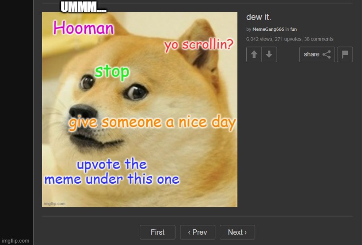 sooo should i upvote this doggo only ? |  UMMM.... | image tagged in what the hell am i suppose to do | made w/ Imgflip meme maker