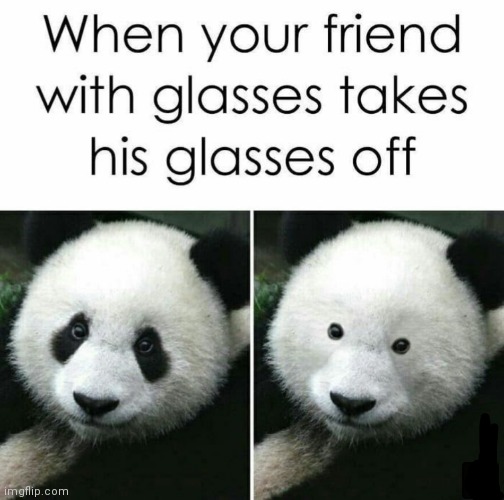 image tagged in memes,glasses | made w/ Imgflip meme maker