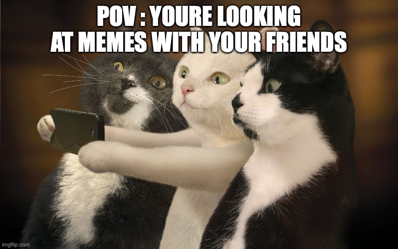 Pov your looking at memes with your friends. | POV : YOURE LOOKING AT MEMES WITH YOUR FRIENDS | image tagged in memes,friends | made w/ Imgflip meme maker