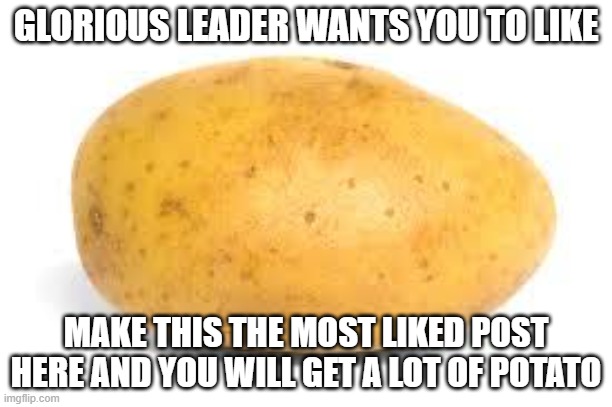 Potato |  GLORIOUS LEADER WANTS YOU TO LIKE; MAKE THIS THE MOST LIKED POST HERE AND YOU WILL GET A LOT OF POTATO | image tagged in potato | made w/ Imgflip meme maker