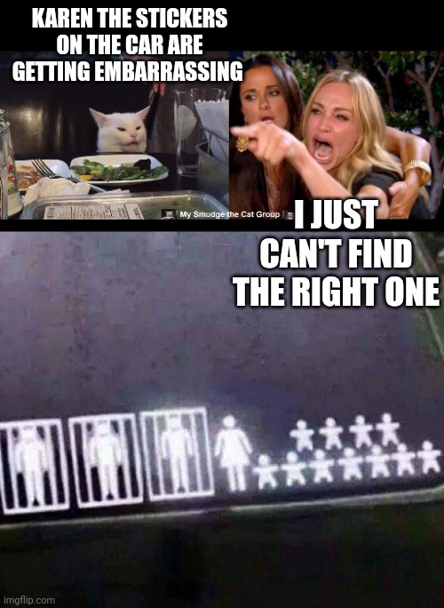 KAREN THE STICKERS ON THE CAR ARE GETTING EMBARRASSING; I JUST CAN'T FIND THE RIGHT ONE | image tagged in smudge the cat | made w/ Imgflip meme maker