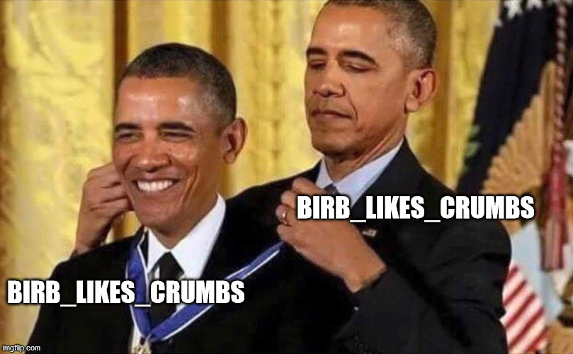 obama medal | BIRB_LIKES_CRUMBS BIRB_LIKES_CRUMBS | image tagged in obama medal | made w/ Imgflip meme maker