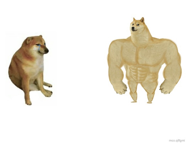 cheem vs buff doge Blank Meme Template