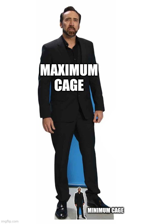 MixiMin Cage | MAXIMUM CAGE; MINIMUM CAGE | image tagged in nicolas cage | made w/ Imgflip meme maker