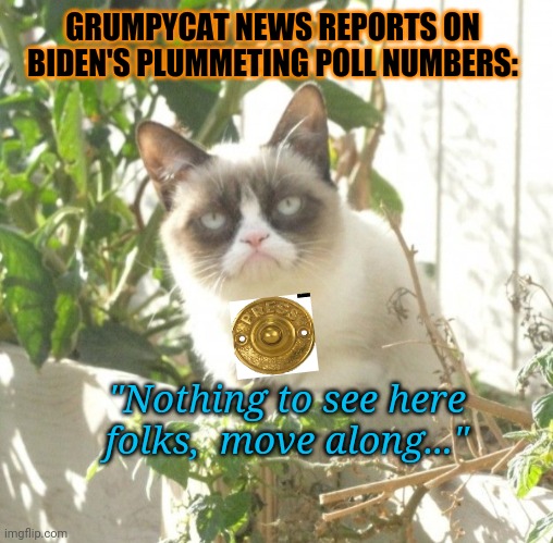 Grumpy MSM | GRUMPYCAT NEWS REPORTS ON BIDEN'S PLUMMETING POLL NUMBERS:; "Nothing to see here folks,  move along..." | image tagged in grumpy cat,fake news,not amused | made w/ Imgflip meme maker