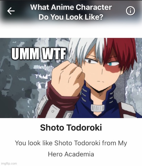 Sorry but I look nowhere close to him | UMM WTF | image tagged in todoroki,i tried to do a quiz,didnt end well,wtf | made w/ Imgflip meme maker