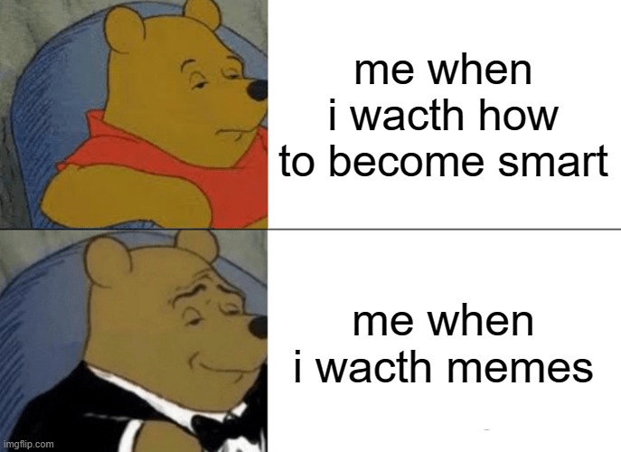 how i became smart |  me when i wacth how to become smart; me when i wacth memes | image tagged in memes,tuxedo winnie the pooh | made w/ Imgflip meme maker