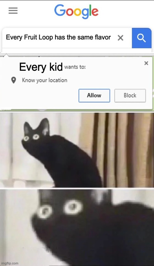 oh no | image tagged in oh no black cat | made w/ Imgflip meme maker