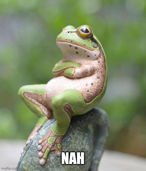 nah frog | NAH | image tagged in nah frog | made w/ Imgflip meme maker