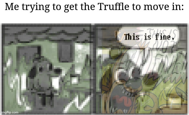 Anyone else finding the Truffle annoying to move in even though you have all the right requirements? | Me trying to get the Truffle to move in: | image tagged in this is fine but retro | made w/ Imgflip meme maker