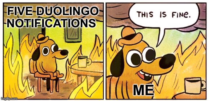 This Is Fine | FIVE DUOLINGO NOTIFICATIONS; ME | image tagged in memes,this is fine | made w/ Imgflip meme maker