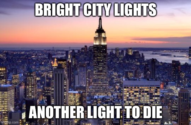 We are the danger | BRIGHT CITY LIGHTS; ANOTHER LIGHT TO DIE | image tagged in new york city | made w/ Imgflip meme maker