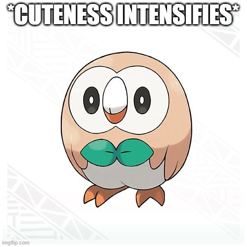 Rowlet | *CUTENESS INTENSIFIES* | image tagged in rowlet | made w/ Imgflip meme maker