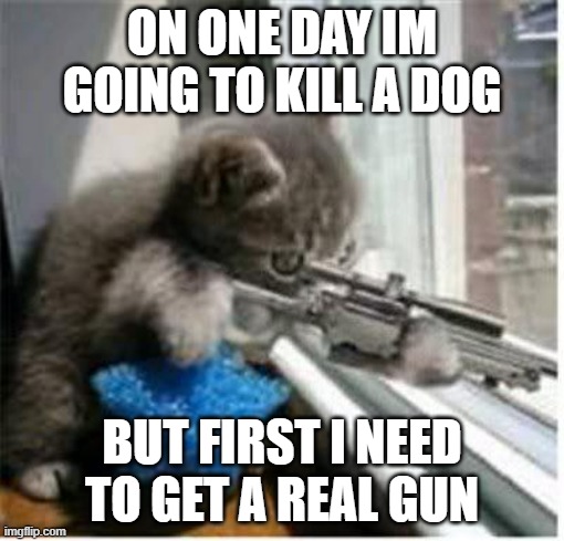 cats with guns | ON ONE DAY IM GOING TO KILL A DOG; BUT FIRST I NEED TO GET A REAL GUN | image tagged in cats with guns | made w/ Imgflip meme maker