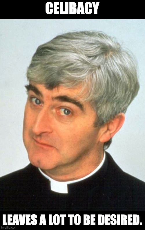 Celibacy | CELIBACY; LEAVES A LOT TO BE DESIRED. | image tagged in memes,father ted | made w/ Imgflip meme maker