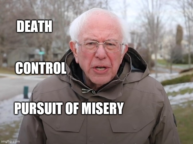 Bernie Sanders Once Again Asking | DEATH CONTROL PURSUIT OF MISERY | image tagged in bernie sanders once again asking | made w/ Imgflip meme maker