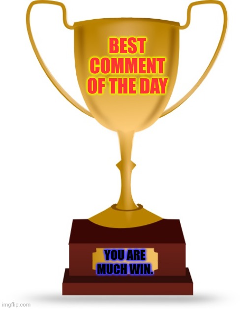 Blank Trophy | BEST COMMENT OF THE DAY YOU ARE MUCH WIN. | image tagged in blank trophy | made w/ Imgflip meme maker