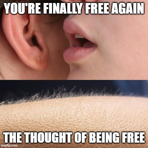 Post-Covid |  YOU'RE FINALLY FREE AGAIN; THE THOUGHT OF BEING FREE | image tagged in coronavirus,covid-19,special kind of stupid,snowflakes,communist socialist,freedom | made w/ Imgflip meme maker