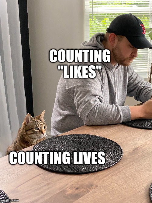 Gives me paws | COUNTING "LIKES"; COUNTING LIVES | image tagged in cat,internet,philosophy | made w/ Imgflip meme maker