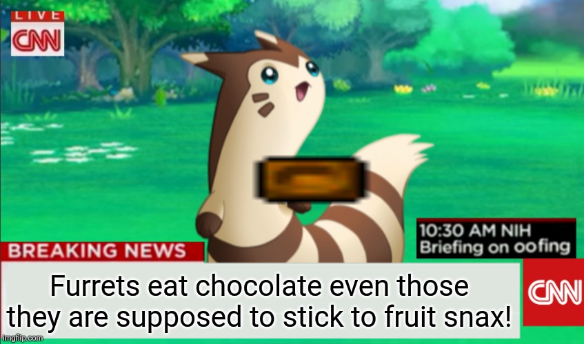 Chocolate for the furrets! | Furrets eat chocolate even those they are supposed to stick to fruit snax! | image tagged in breaking news furret,furret,pokemon,cute animals | made w/ Imgflip meme maker