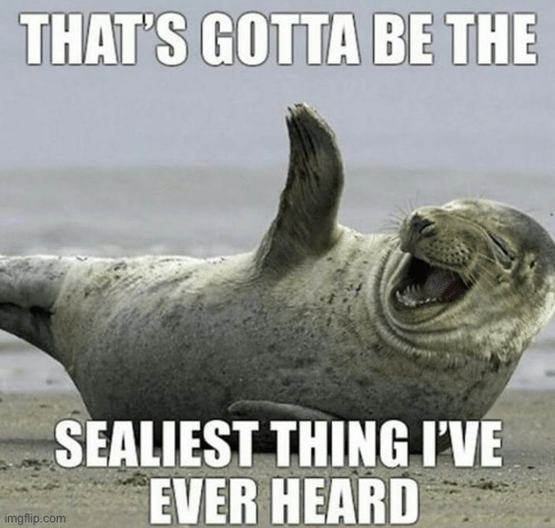 Sealiest thing I’ve heard | image tagged in memes,funny,eyeroll | made w/ Imgflip meme maker