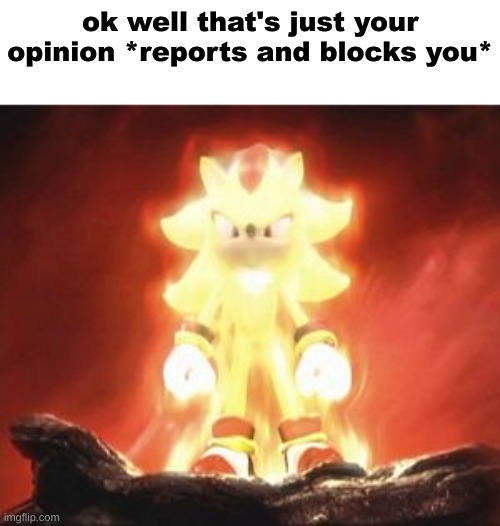 Super Shadow | ok well that's just your opinion *reports and blocks you* | image tagged in super shadow | made w/ Imgflip meme maker