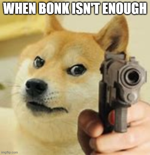 WARNING | WHEN BONK ISN'T ENOUGH | image tagged in doge,bonk | made w/ Imgflip meme maker