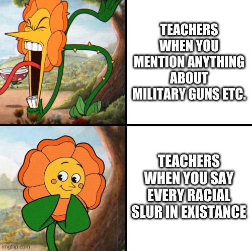 kinda true /: | TEACHERS WHEN YOU MENTION ANYTHING ABOUT MILITARY GUNS ETC. TEACHERS WHEN YOU SAY EVERY RACIAL SLUR IN EXISTANCE | image tagged in angry flower | made w/ Imgflip meme maker