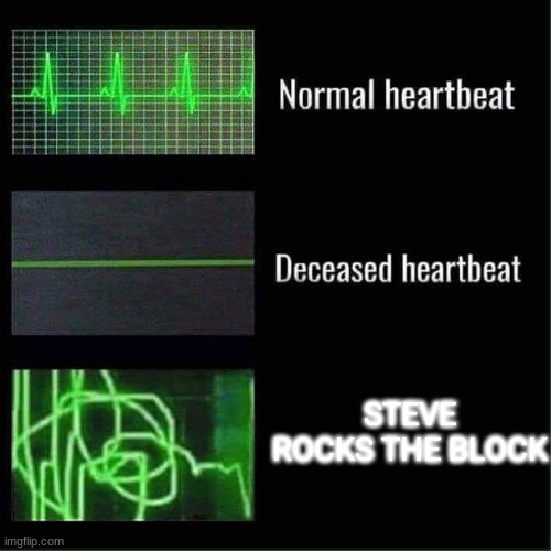 Heart beat meme | STEVE ROCKS THE BLOCK | image tagged in heart beat meme | made w/ Imgflip meme maker