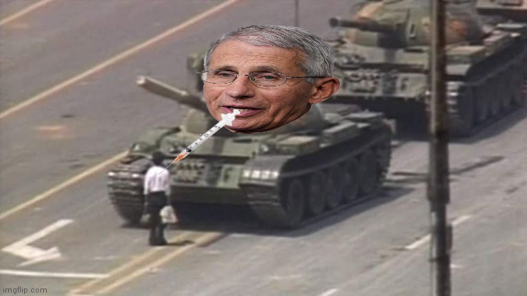 Tiananmen Square Tank Man | image tagged in tiananmen square tank man | made w/ Imgflip meme maker