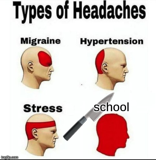 school | school | image tagged in types of headaches meme | made w/ Imgflip meme maker