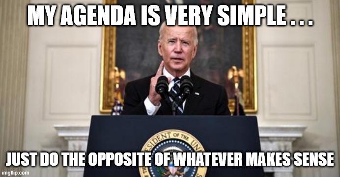 Wacky Joe At It Again | MY AGENDA IS VERY SIMPLE . . . JUST DO THE OPPOSITE OF WHATEVER MAKES SENSE | image tagged in biden announcement | made w/ Imgflip meme maker