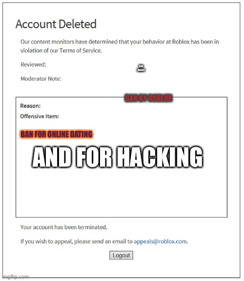 Getting ban on roblox be like | USER JOHN DOE; BAN BY ROBLOX; AND FOR HACKING; BAN FOR ONLINE DATING | image tagged in banned from roblox | made w/ Imgflip meme maker