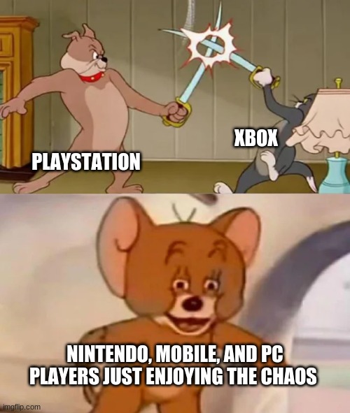 Tom and Spike fighting | PLAYSTATION XBOX NINTENDO, MOBILE, AND PC PLAYERS JUST ENJOYING THE CHAOS | image tagged in tom and spike fighting | made w/ Imgflip meme maker
