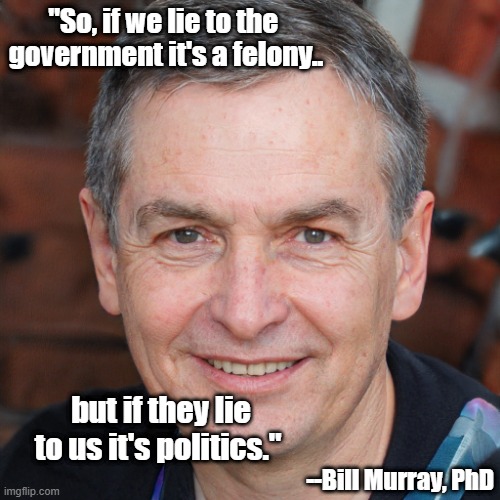 Tell the truth |  "So, if we lie to the 
government it's a felony.. but if they lie to us it's politics."; --Bill Murray, PhD | image tagged in bill murray | made w/ Imgflip meme maker