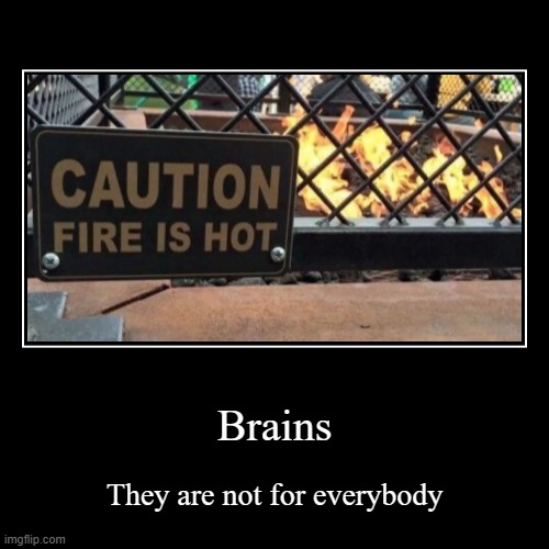 I don't think I have them | Brains | They are not for everybody | image tagged in funny,demotivationals | made w/ Imgflip demotivational maker