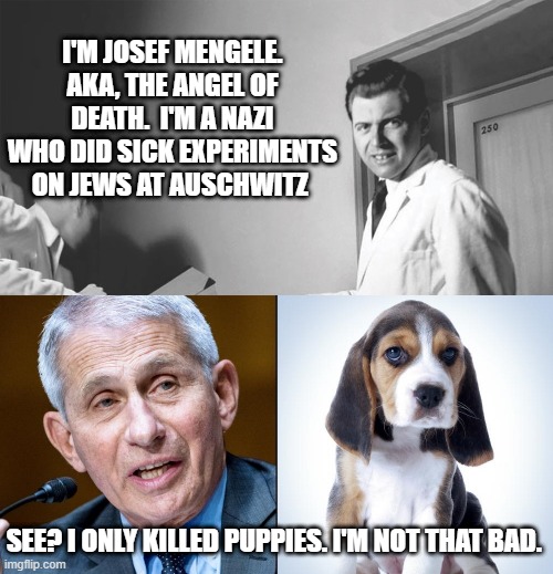 When grading Dr. Fauci on the curve contrasted with the whole of human history - he's really not that bad of a guy :) | I'M JOSEF MENGELE. AKA, THE ANGEL OF DEATH.  I'M A NAZI WHO DID SICK EXPERIMENTS ON JEWS AT AUSCHWITZ; SEE? I ONLY KILLED PUPPIES. I'M NOT THAT BAD. | image tagged in covid19,wuhan lab,china,politics,science,dr fauci | made w/ Imgflip meme maker