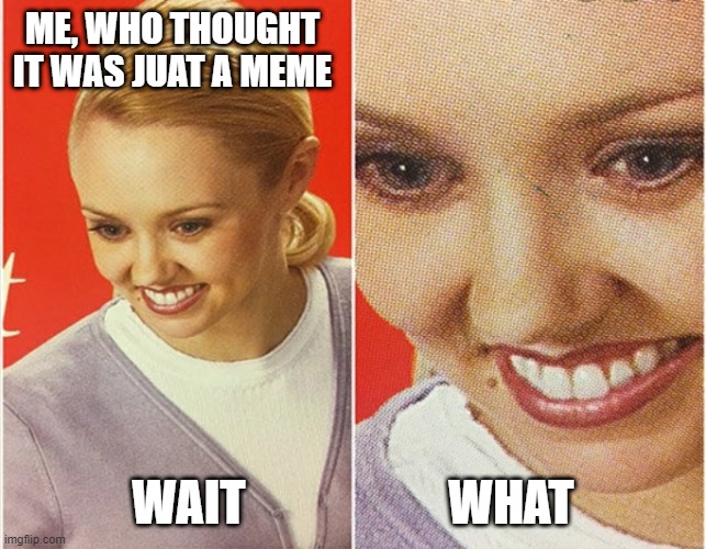 WAIT WHAT? | ME, WHO THOUGHT IT WAS JUAT A MEME WAIT                     WHAT | image tagged in wait what | made w/ Imgflip meme maker