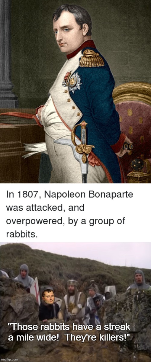 "They've got huge sharp teeth" | "Those rabbits have a streak a mile wide!  They're killers!" | image tagged in rmk,napoleon,french army,french | made w/ Imgflip meme maker