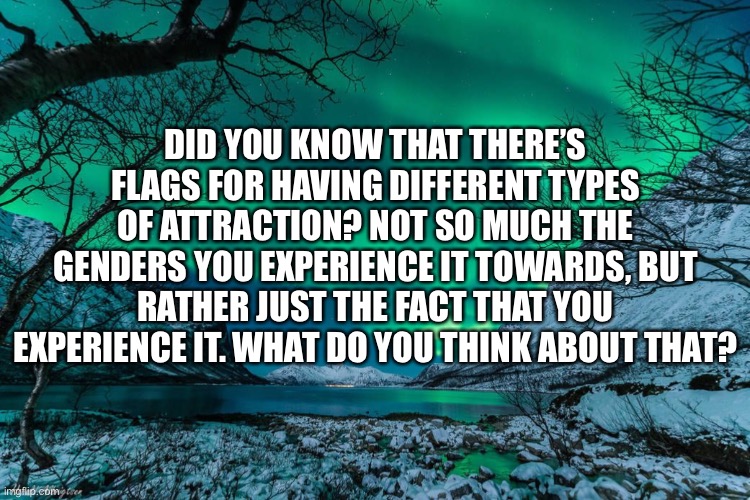 Northern Lights Announcement | DID YOU KNOW THAT THERE’S FLAGS FOR HAVING DIFFERENT TYPES OF ATTRACTION? NOT SO MUCH THE GENDERS YOU EXPERIENCE IT TOWARDS, BUT RATHER JUST THE FACT THAT YOU EXPERIENCE IT. WHAT DO YOU THINK ABOUT THAT? | image tagged in northern lights announcement | made w/ Imgflip meme maker