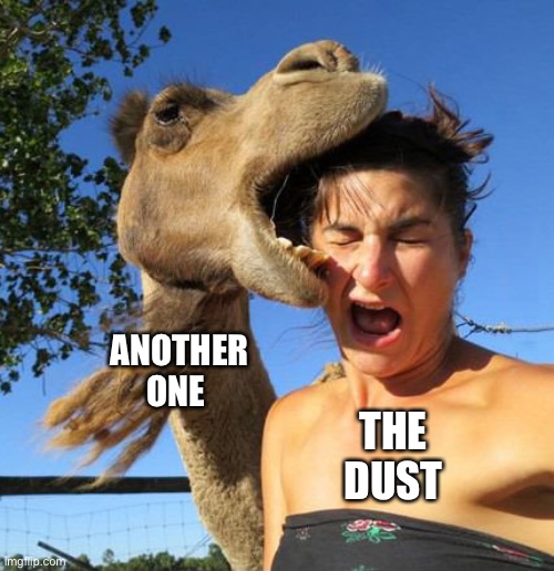 Random title | ANOTHER ONE; THE DUST | image tagged in another one bites the dust | made w/ Imgflip meme maker