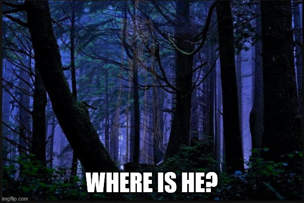 oh no | WHERE IS HE? | image tagged in dark forest | made w/ Imgflip meme maker