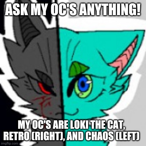RetroFurry Announcement Template | ASK MY OC'S ANYTHING! MY OC'S ARE LOKI THE CAT, RETRO (RIGHT), AND CHAOS (LEFT) | image tagged in retrofurry announcement template | made w/ Imgflip meme maker