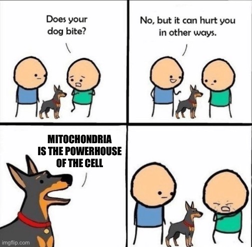 does your dog bite | MITOCHONDRIA IS THE POWERHOUSE OF THE CELL | image tagged in does your dog bite | made w/ Imgflip meme maker