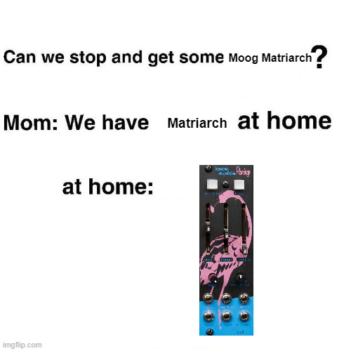 At home | Moog Matriarch; Matriarch | image tagged in at home | made w/ Imgflip meme maker