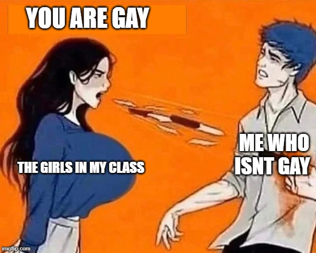 Women are so mean | YOU ARE GAY; ME WHO ISNT GAY; THE GIRLS IN MY CLASS | image tagged in mean girls,broken heart | made w/ Imgflip meme maker