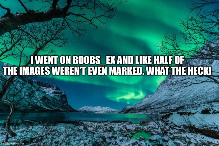 Northern Lights Announcement | I WENT ON BOOBS_EX AND LIKE HALF OF THE IMAGES WEREN’T EVEN MARKED. WHAT THE HECK! | image tagged in northern lights announcement | made w/ Imgflip meme maker