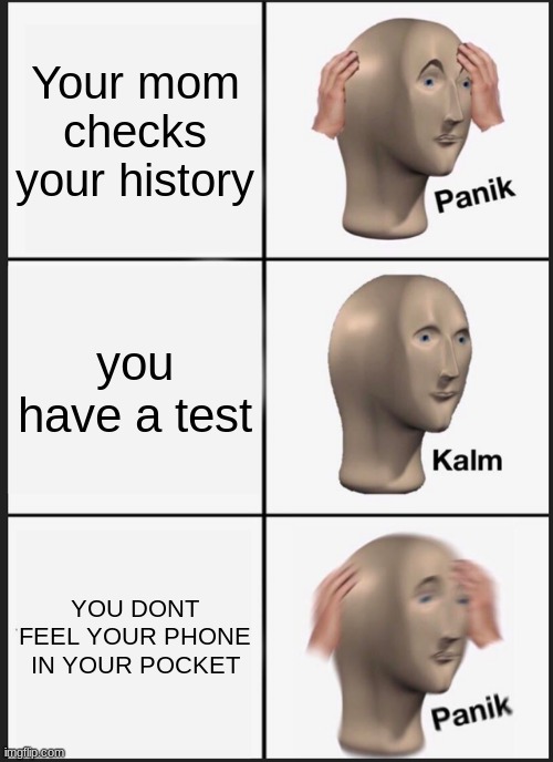 Phone gone | Your mom checks your history; you have a test; YOU DONT FEEL YOUR PHONE IN YOUR POCKET | image tagged in memes,panik kalm panik | made w/ Imgflip meme maker