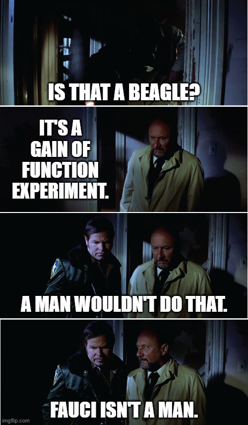 Happy Halloween! Some horrors are real. | IS THAT A BEAGLE? IT'S A
GAIN OF
FUNCTION
EXPERIMENT. A MAN WOULDN'T DO THAT. FAUCI ISN'T A MAN. | image tagged in dr fauci,halloween,memes | made w/ Imgflip meme maker